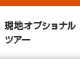 現地オプショナルツアー