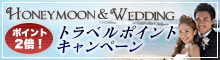 �|�C���g6�{�I�n�l���[�����E�G�f�B���O�g���x���|�C���g �L�����y�[��
