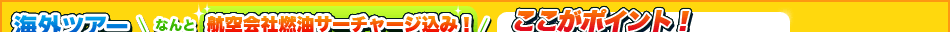 �C�O�c�A�[ Web��p���i �C���^�[�l�b�g�ł��������Ȃ�!�r�b�N�����i�ł���!!