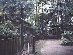野田山墓地