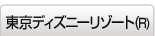 �����f�B�Y�j�[���]�[�g(R)