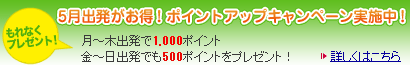 5���o���������I�|�C���g�A�b�v�L�����y�[�����{���I