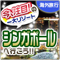 ���A����!�̈�僊�]�[�g�V���K�|�[���֍s����!!