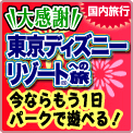�労�Ӂ@�����f�B�Y�j�[���]�[�g�iR�j�ւ̗�