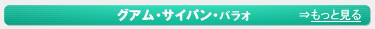 �O�A���E�T�C�p���E�p���I