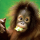 �R�^�L�i�o��