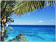 JTB�C�O���s