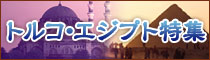 �g���R�E�G�W�v�g���W