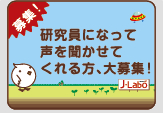 ����������W���B