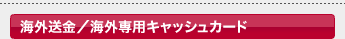 �C�O�����^�C�O��p�L���b�V���J�[�h