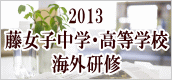2013 �����q���w�Z�E�����w�Z�@�C�O���C