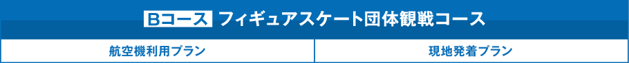 フィギュアスケート団体観戦コースBコース 航空機利用プラン 現地発着プラン