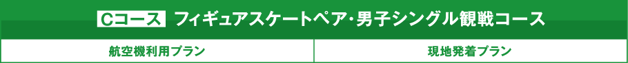 フィギュアスケートペア・男子シングル観戦コースCコース 航空機利用プラン 現地発着プラン