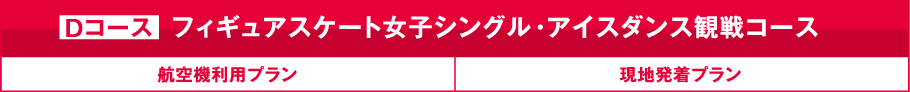 フィギュアスケート女子シングル・アイスダンス観戦コースDコース 航空機利用プラン 現地発着プラン