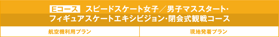フィギュアスケート女子シングル・アイスダンス観戦コースDコース 航空機利用プラン 現地発着プラン