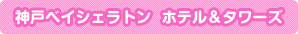 �_�˃x�C�V�F���g��  �z�e�����^���[�Y