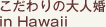 �������̑�l�� in Hawaii
