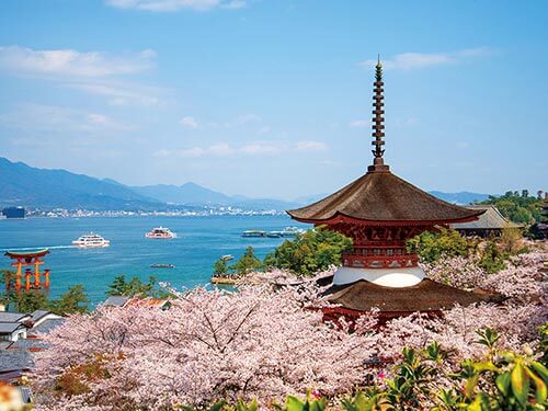 春陽の西日本周遊と韓国 13日間