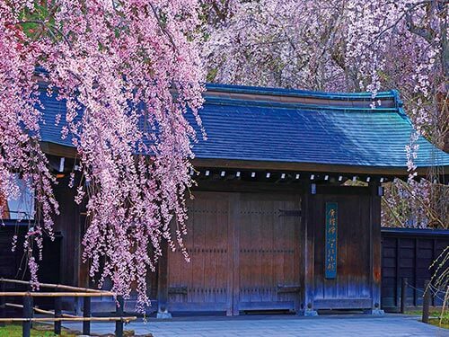 春風満帆！日本周遊と韓国 14日間