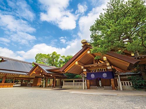 夏の恵みの黒潮海道と韓国11日間