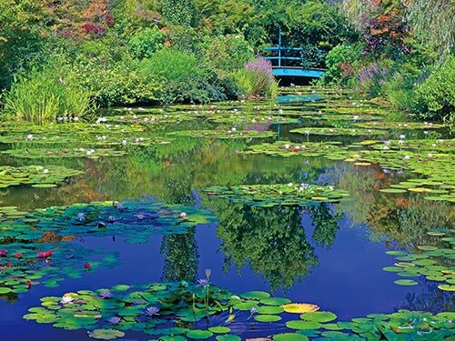 気軽にショートクルーズ！8日間 B