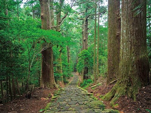 季節でめぐる西日本周遊と韓国 11日間 B