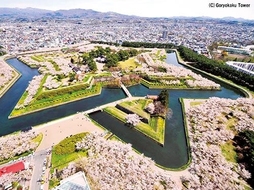 春爛漫！日本周遊と韓国 13日間