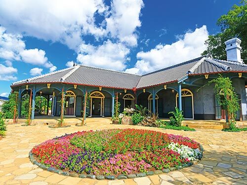 きらめく春の北海道と韓国 10日間