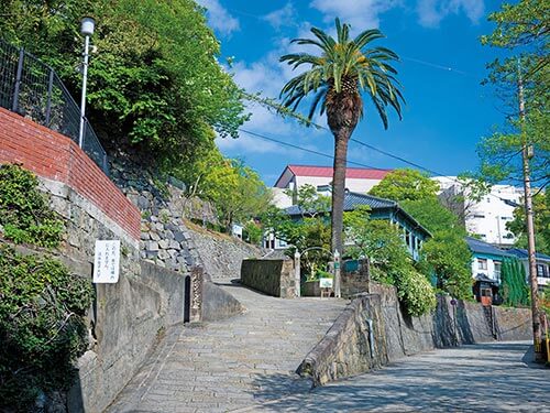 北へ南へ縦断クルーズと韓国 10日間