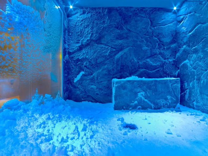 雪の降るスノー・グロット