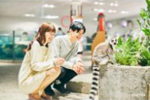 ニフレルオオサカホイール　満喫セット