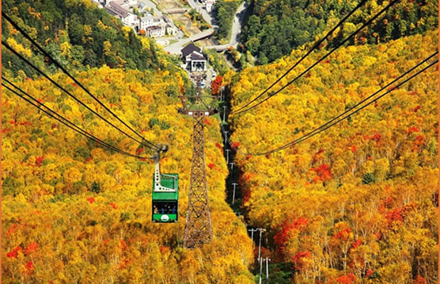 大雪山層雲峡・黒岳ロープウェイ
