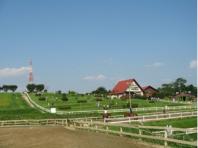 現地観光プラン レジャーチケット 定期観光バス 愛知牧場パターゴルフ アイス券 土日祝