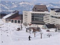 �j���[�E�O���[���s�A�Ó�̃C���[�W