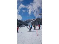 �_�獂���i����Q�����f�j�̃C���[�W