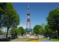 �����ۂ�e���r���W�]��̃C���[�W