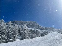 ����R�E�a���X�L�[��̃C���[�W