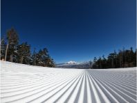 �J�c�����}�C�A�X�L�[��̃C���[�W