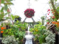 �W�H��������������u���킶�O���[���فv�̃C���[�W