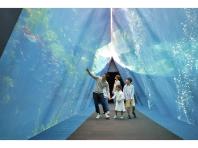 �ӂ����܊C�m�Ȋw�فi�A�N�A�}�����ӂ����܁j�̃C���[�W