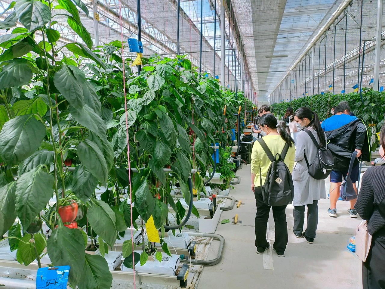 国立公園deアグリガストロノミー “地熱のマチ”九重発マチまるごと循環型社会体感旅