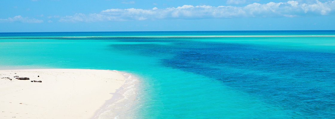 ニューカレドニアのイメージ