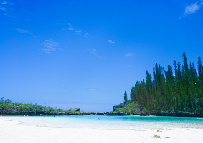 イル・デ・パン島のビーチ