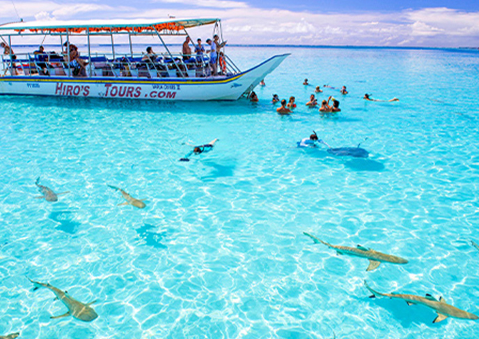 ビーチピクニック