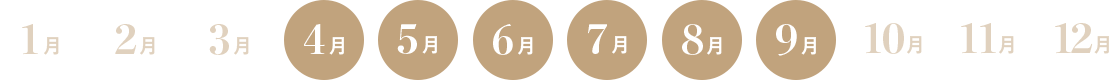 タヒチのベストシーズンカレンダー