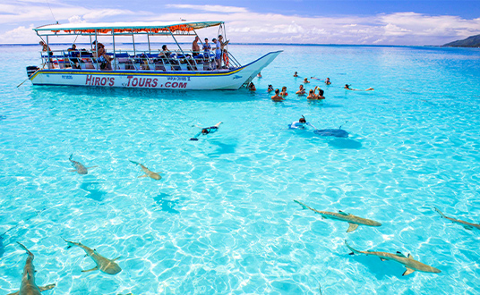 ビーチピクニック