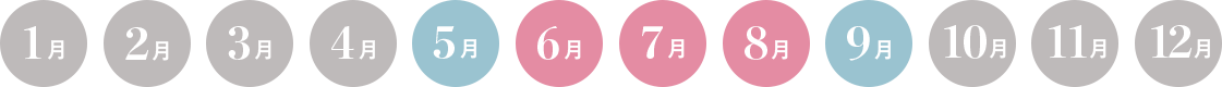フランスのベストシーズンカレンダー