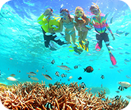 シュノーケリング