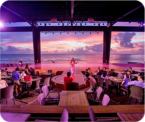 ディナーショー