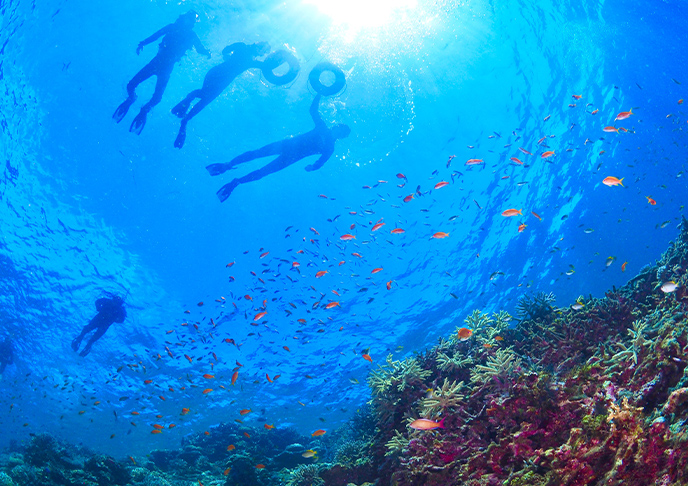 マリンアクティビティ